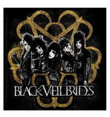 BLACK VEIL BRIDES - DECAY